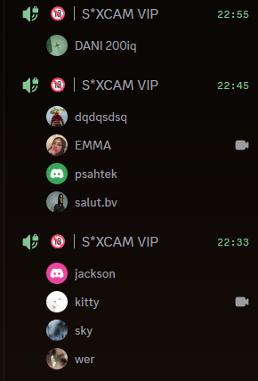 Salon vocal Discord
